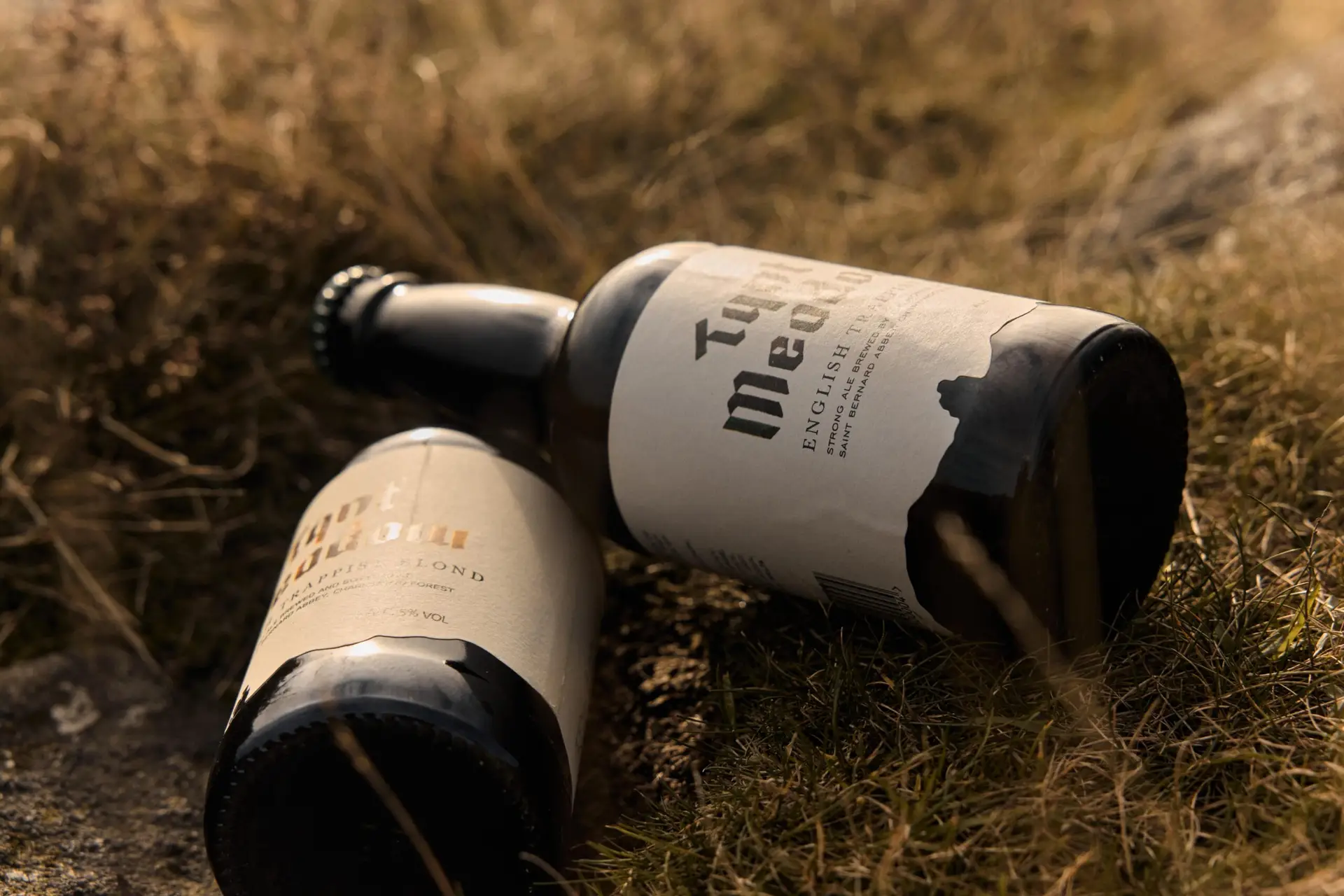Tynt Meadow, Mount St Bernard Trappist Brewery